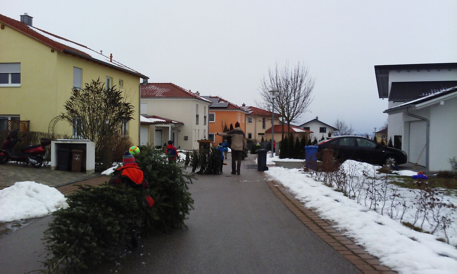 Christbaumsammelaktion 4